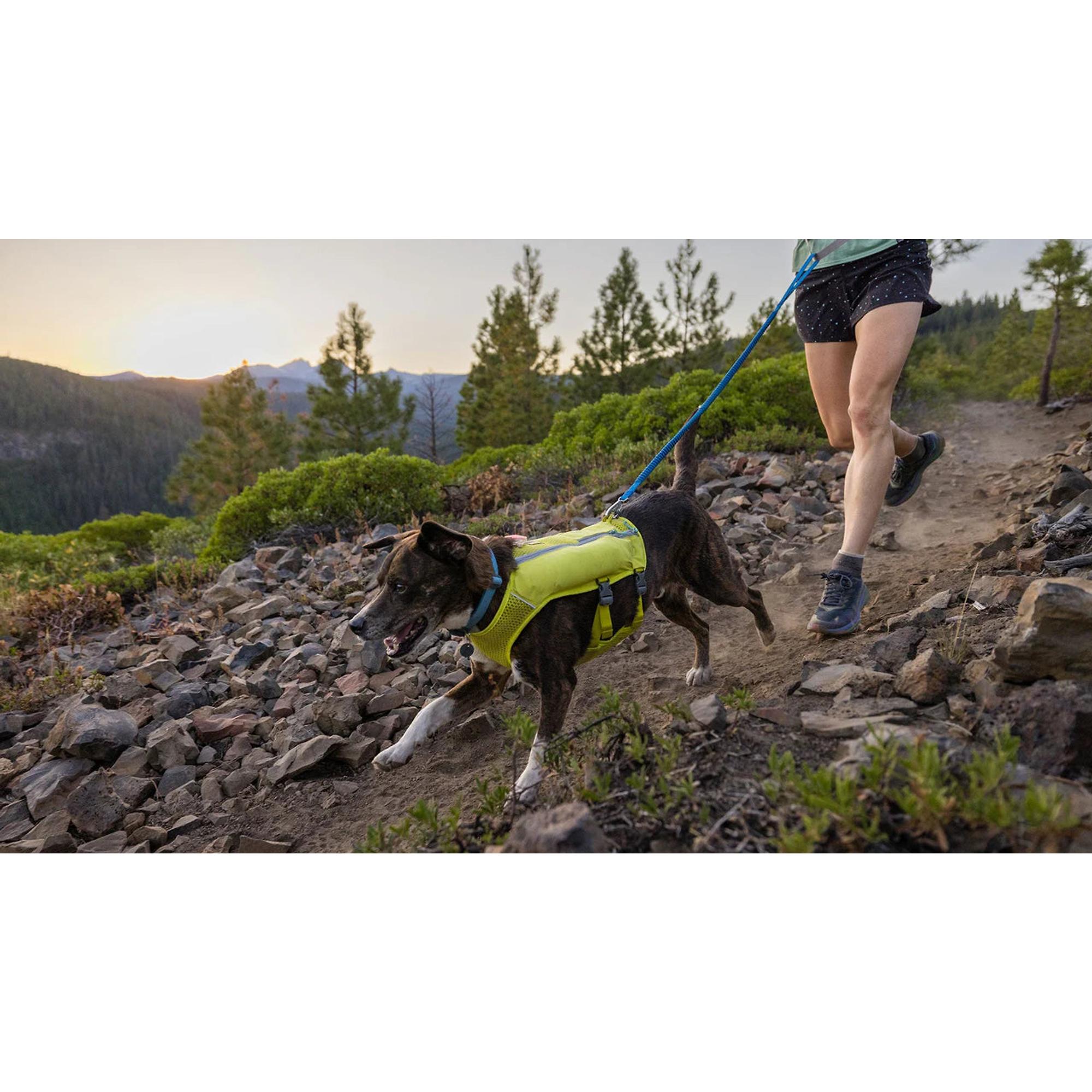 Product image 6 of 9 of RUFFWEAR Trail Runner Dog Lead - Blue Pool