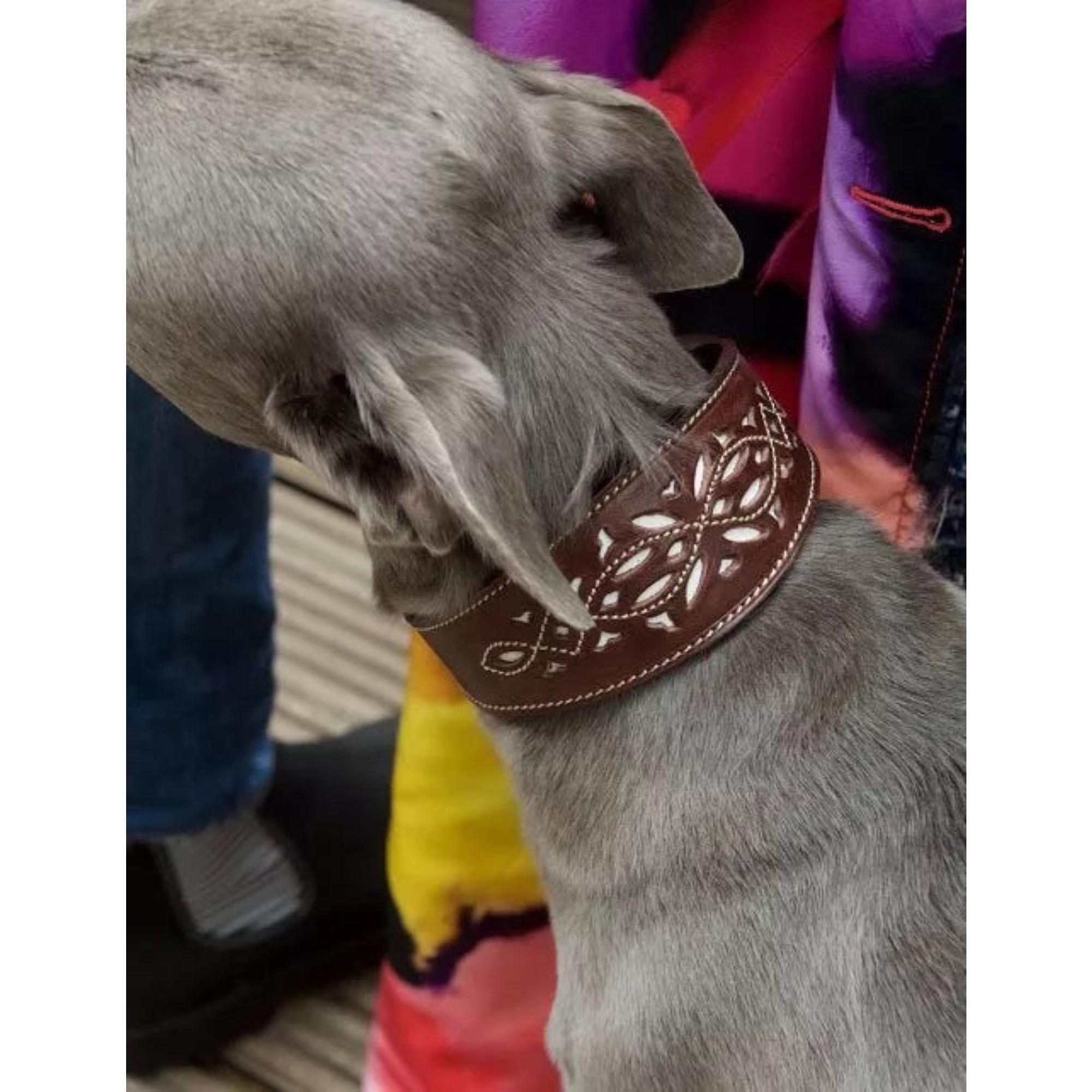 Product image 3 of 3 of Penelope Chilvers Dog Collar - Bitter Chocolate