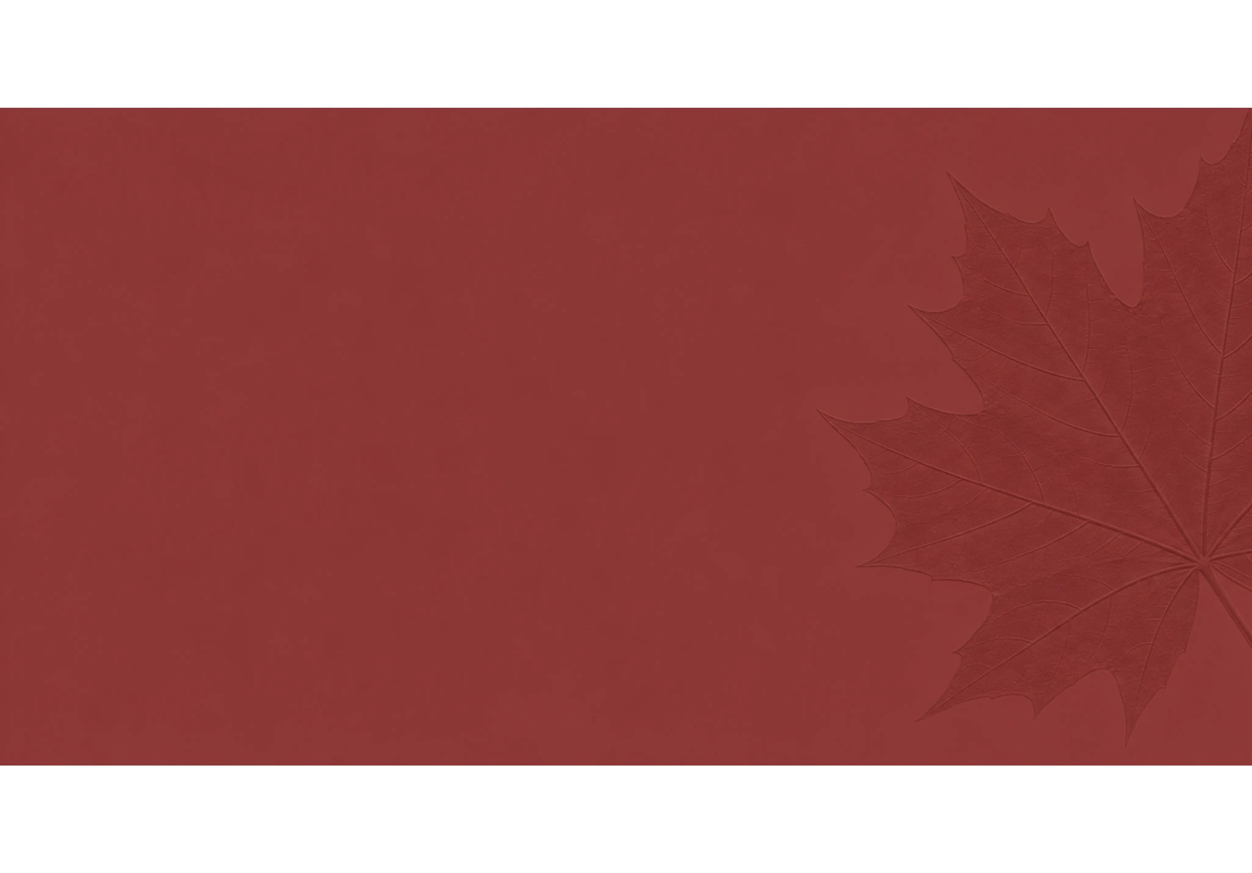 The Autumn Sale Banner