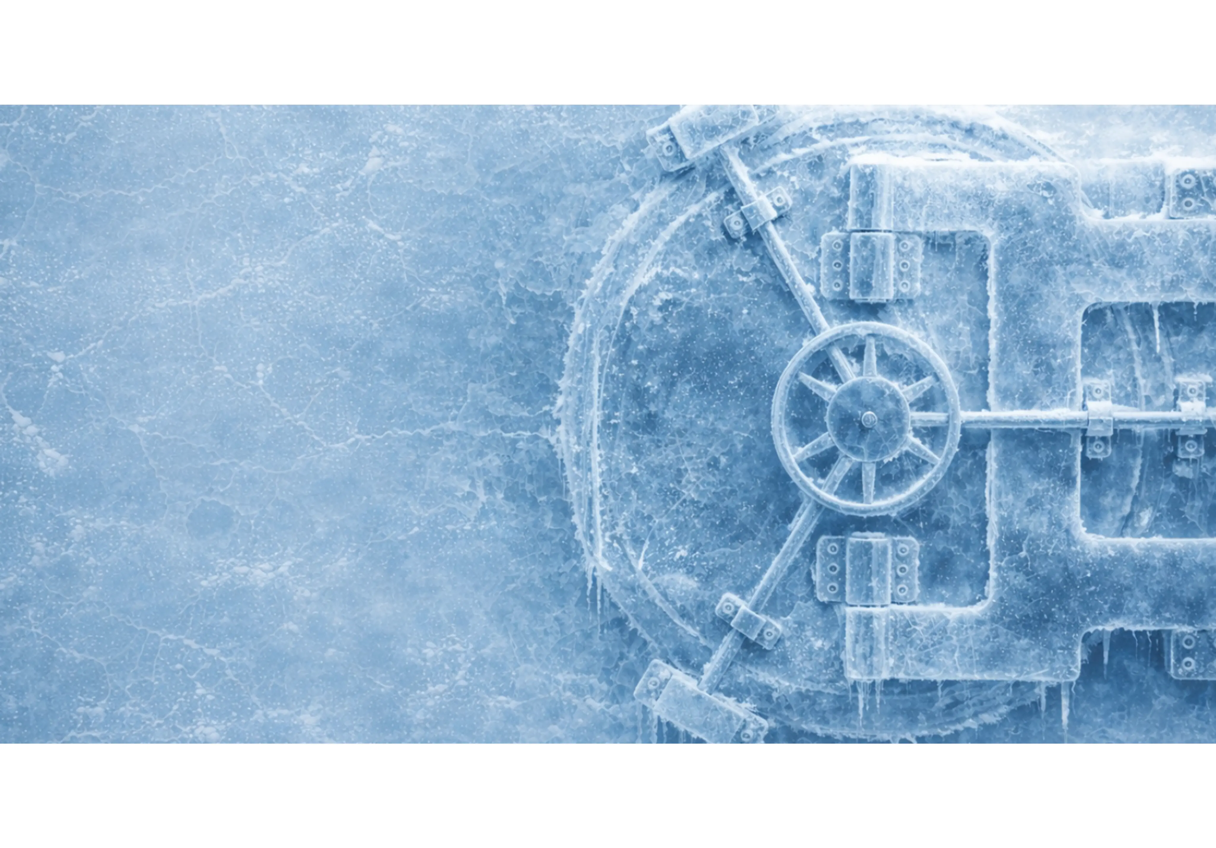 Vault: Winter Sale Banner