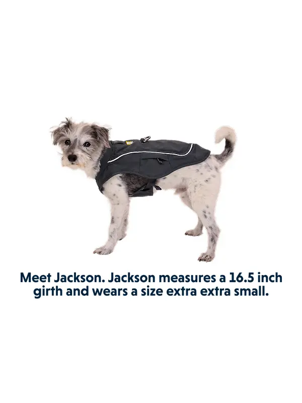RUFFWEAR Overcoat Fuse Dog Jacket/Harness - Basalt Gray Image 12