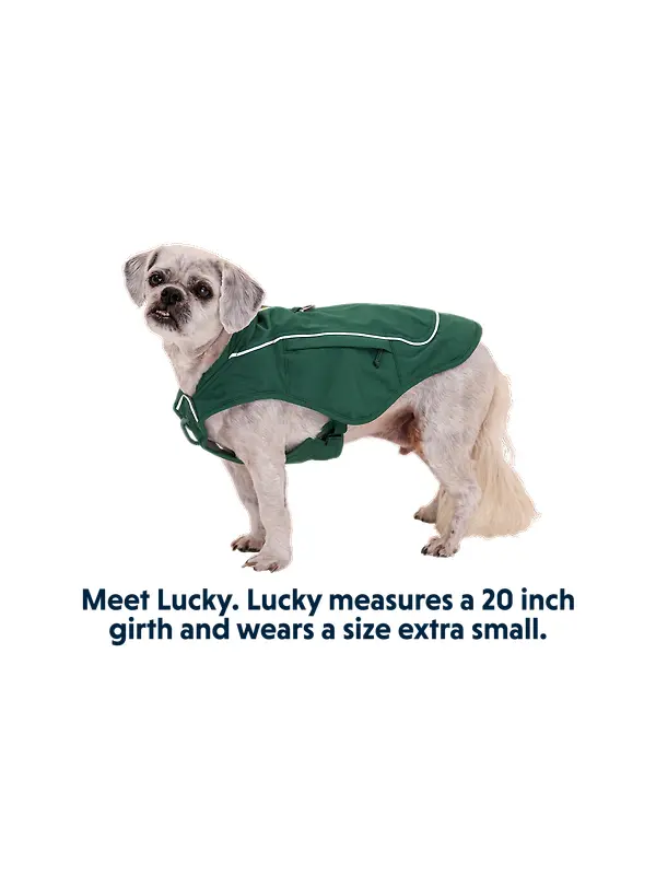 RUFFWEAR Overcoat Fuse Dog Jacket/Harness - Basalt Gray Image 13