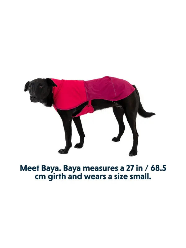 RUFFWEAR Sun Shower Dog Raincoat - Earth Brown Image 10