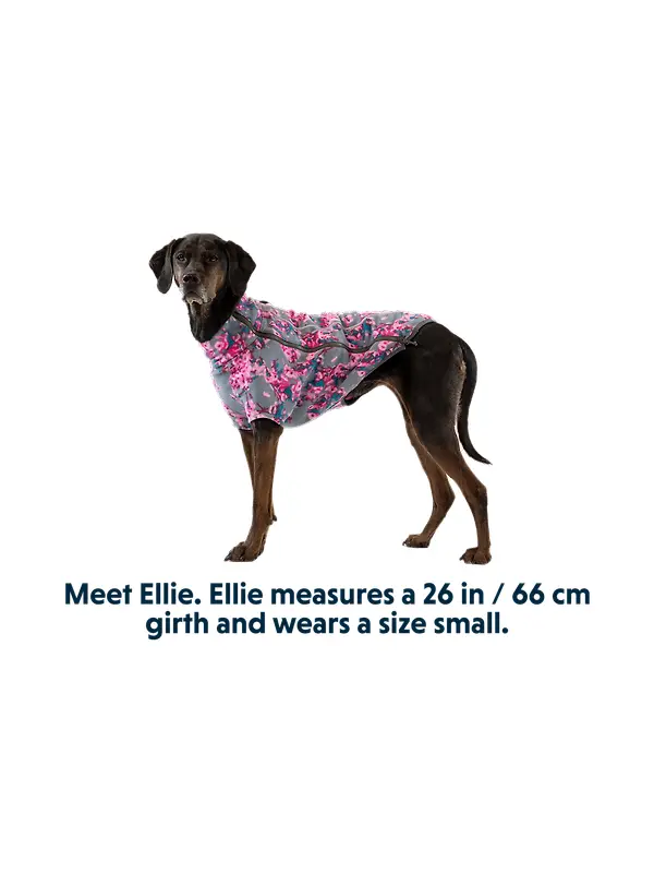 RUFFWEAR Climate Changer Dog Fleece - Blue Jay Image 12