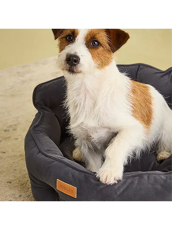 Joules Chesterfield Pet Bed - Grey Image 9