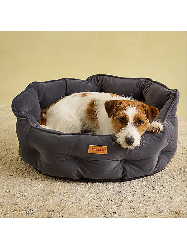 Joules Chesterfield Pet Bed - Grey Image 2