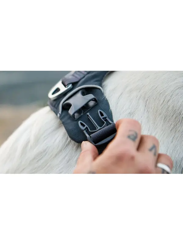 RUFFWEAR Front Range Dog Harness - Basalt Grey Image 12