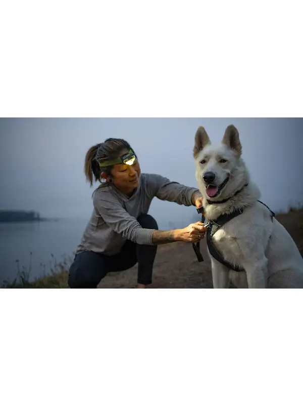 RUFFWEAR Front Range Dog Harness - Basalt Grey Image 11
