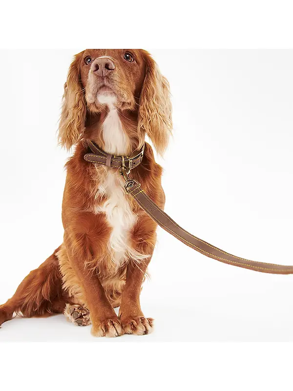 Barbour Leather Dog Lead - Brown Image 2