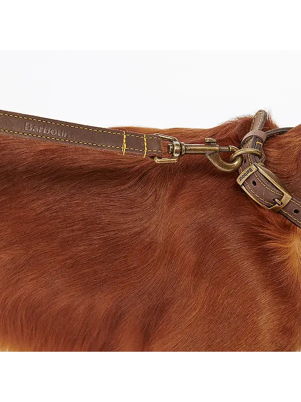 Barbour Leather Dog Lead - Brown Image 3