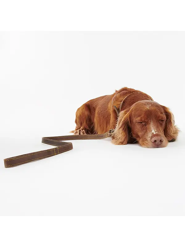 Barbour Leather Dog Lead - Brown Image 6