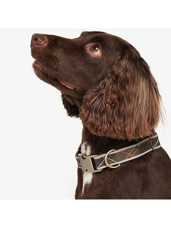 Barbour Reflective Tartan Dog Collar - Classic Tartan Image 2