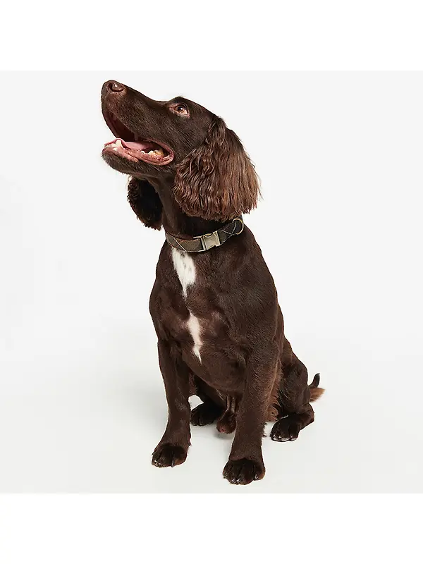 Barbour Reflective Tartan Dog Collar - Classic Tartan Image 4