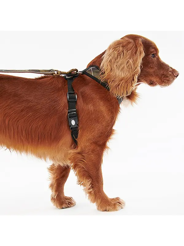 Barbour Tartan Dog Harness - Classic Tartan Image 4