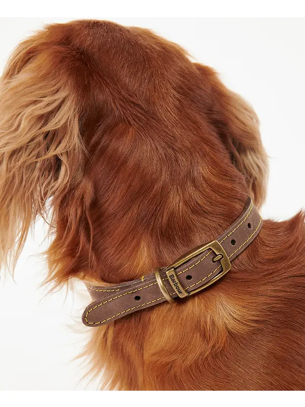 Barbour Leather Dog Collar - Brown Image 4