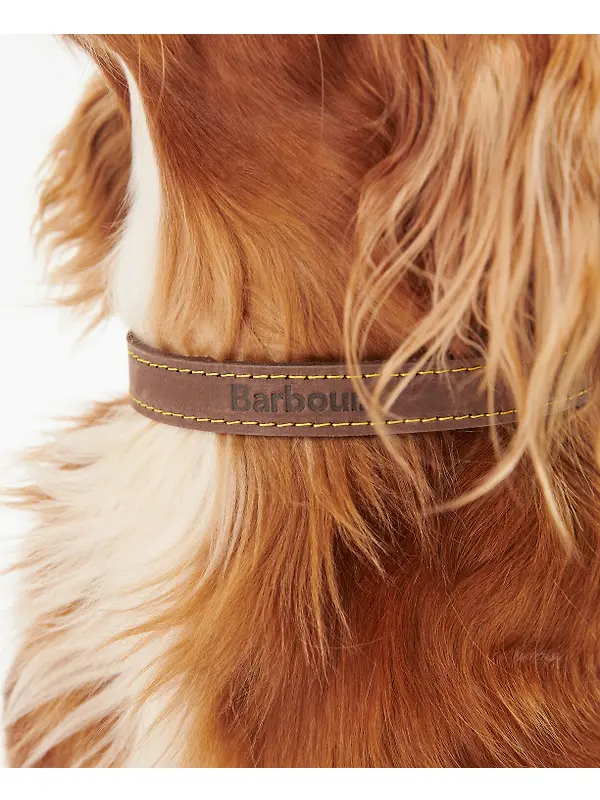 Barbour Leather Dog Collar - Brown Image 5