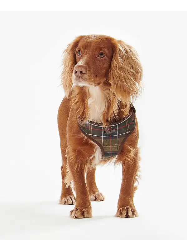 Barbour Travel & Exercise Dog Harness - Classic Tartan Image 4