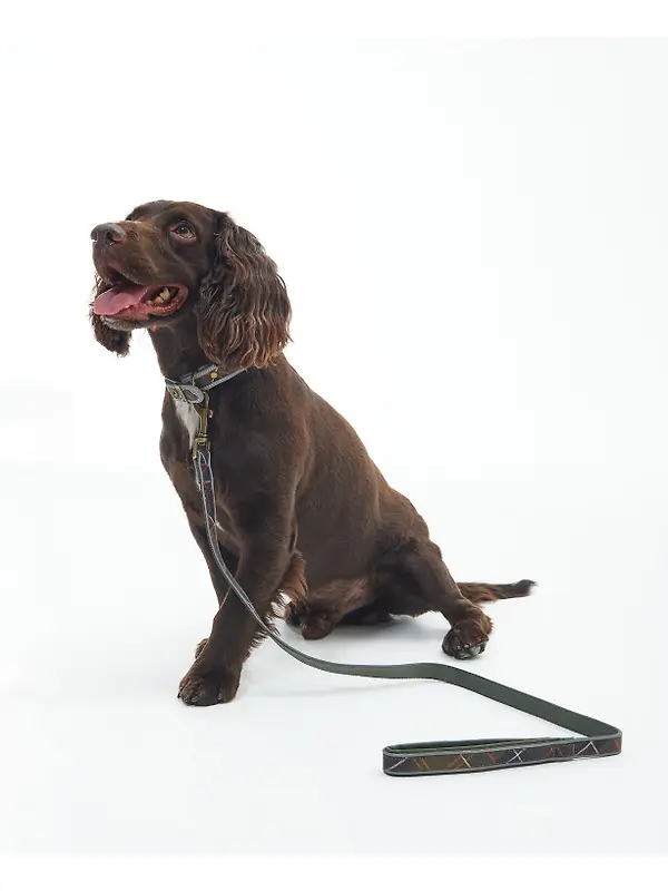 Barbour Reflective Tartan Comfort Dog Lead - Classic Tartan Image 4