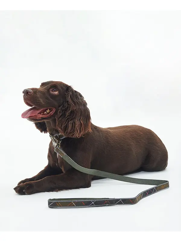 Barbour Reflective Tartan Comfort Dog Lead - Classic Tartan Image 2