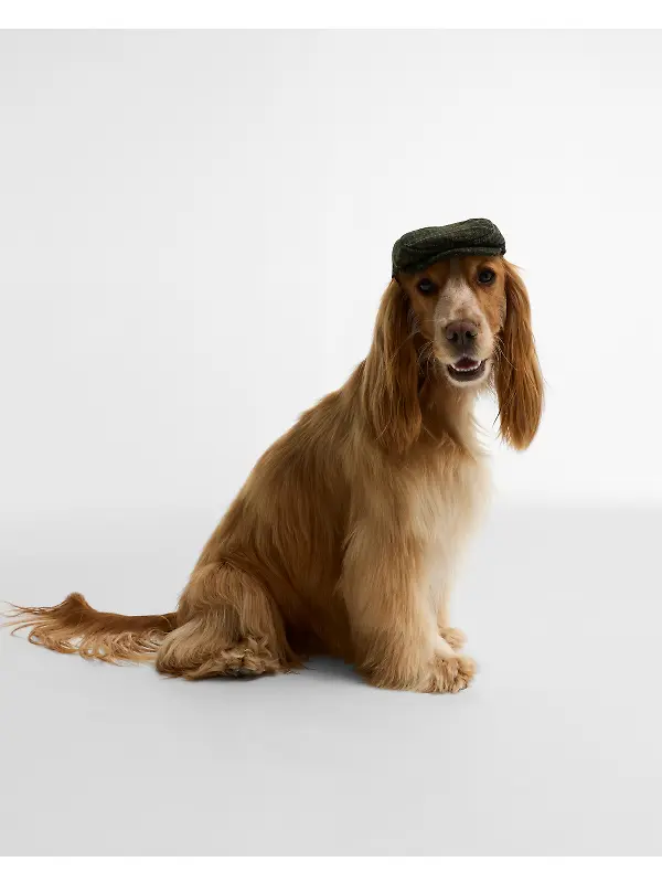 Barbour Wilkin Dog Flat Cap - Olive Check Image 2