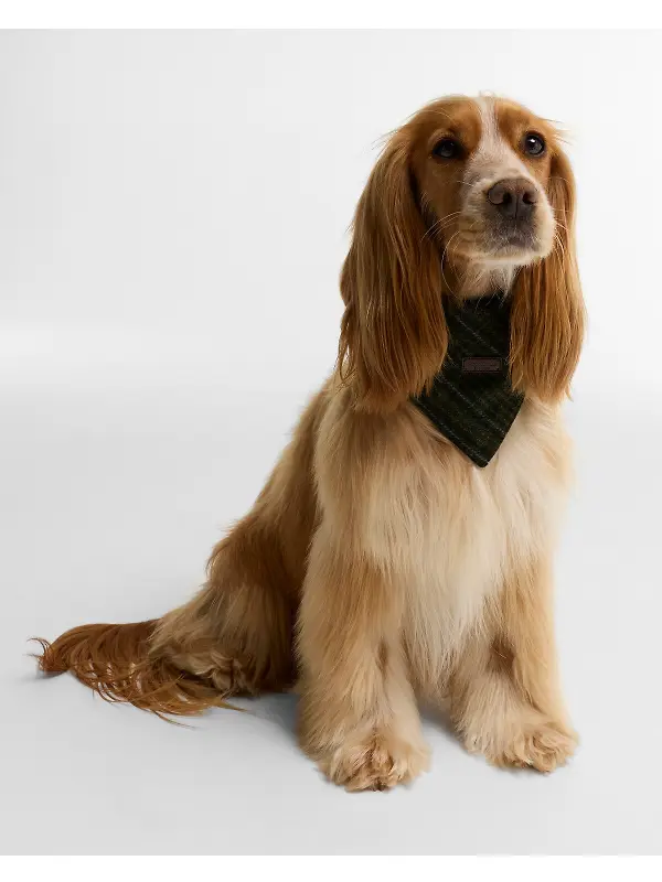 Barbour Wilkin Dog Bandana - Olive Check Image 2