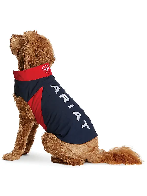 Ariat Team Softshell Dog Jacket - Navy Image 1