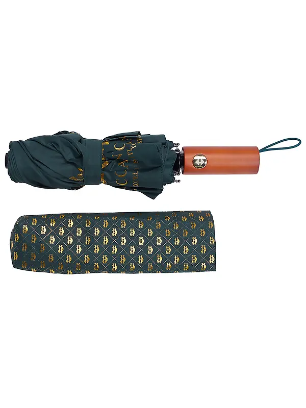Holland Cooper Mini HC Umbrella - Green Image 4