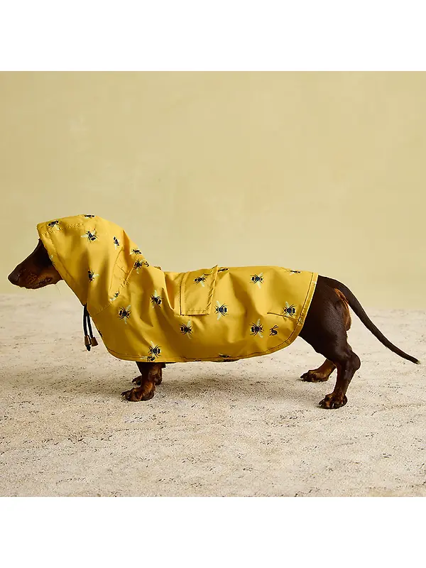 Joules Golightly Packaway Dog Jacket - Bee Print Image 11