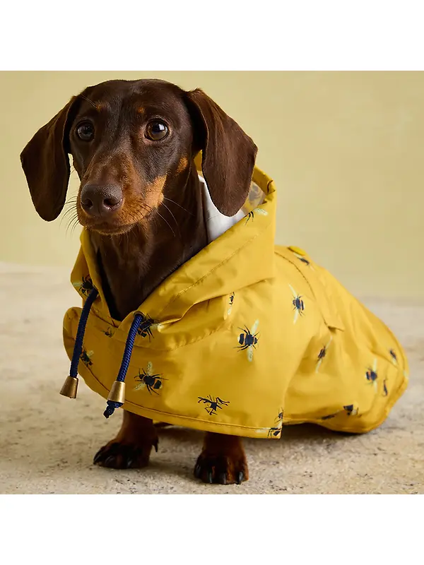 Joules Golightly Packaway Dog Jacket - Bee Print Image 2