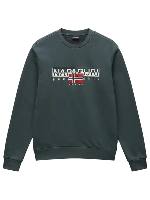 Product image of Napapijri Men's Aylmer Winter Sweatshirt - Green Urban