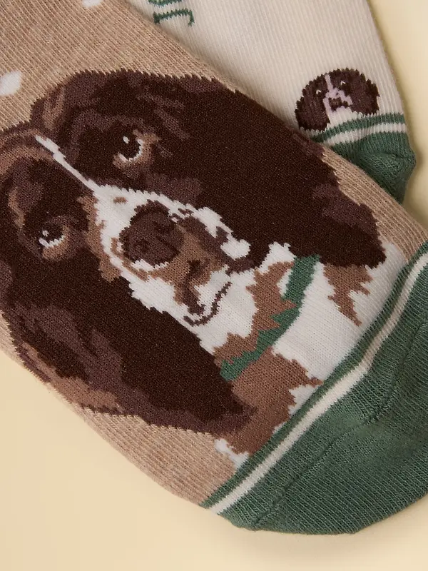 Joules Women's Everyday Cotton Blend Socks 2 Pack UK 4-8 - Neutral Spaniel Image 3