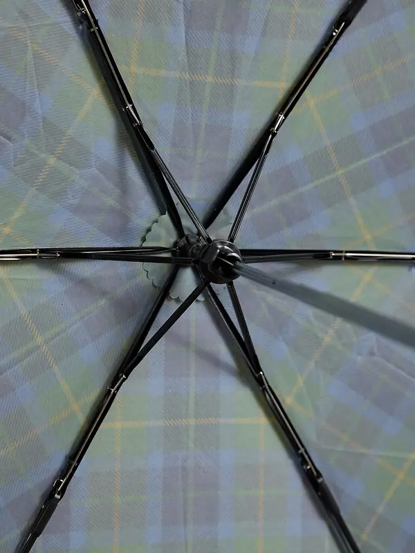 Joules Women's Rayne Umbrella - Blue / Green Check Image 8