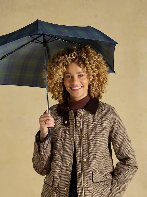 Joules Women's Rayne Umbrella - Blue / Green Check Image 2