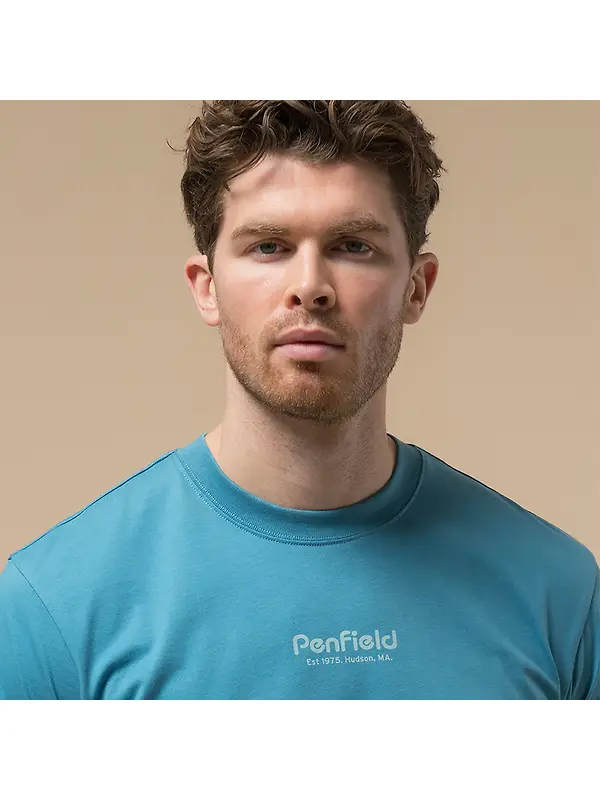 Penfield Men's Circle Landscape T-Shirt - Niagara Image 4