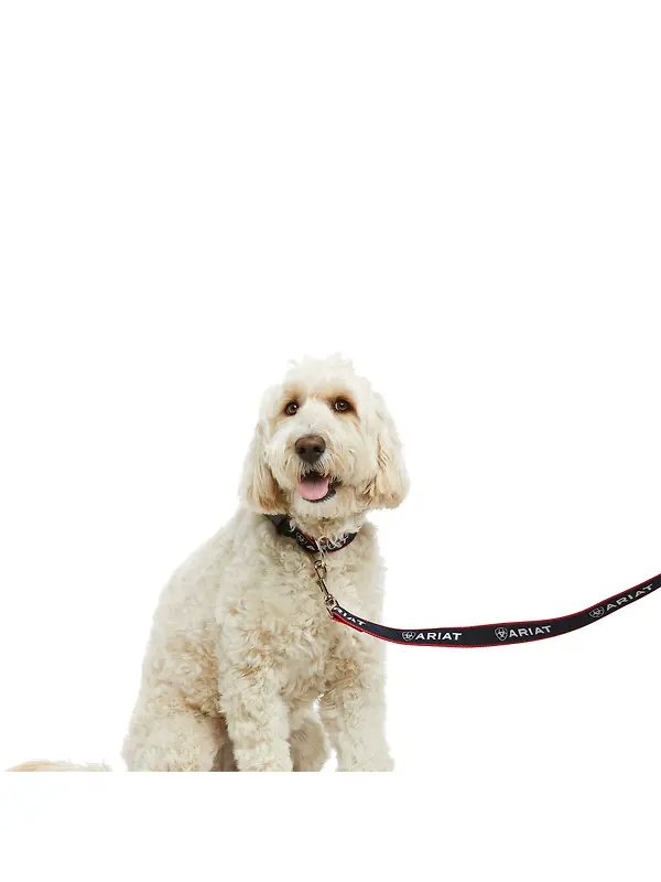 Ariat Dog Leash - Team Image 2