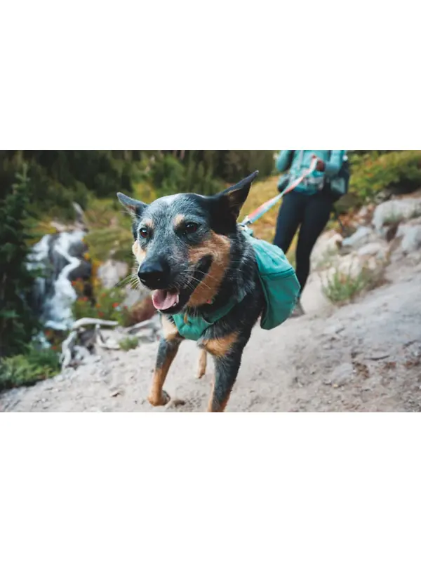 RUFFWEAR Front Range Day Pack - River Rock Green Image 10