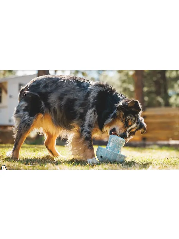 RUFFWEAR Porcini Dog Toy - Blue Prism Image 5