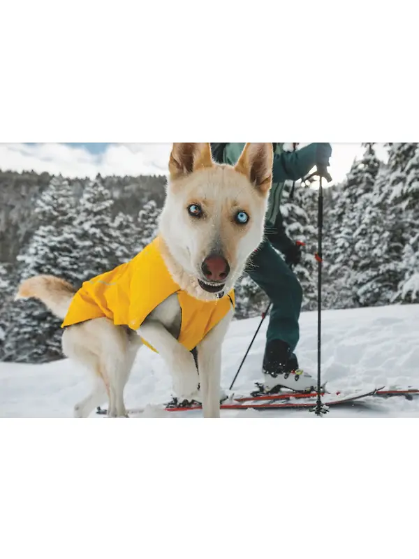 RUFFWEAR Vert™ Dog Jacket - Mineral Yellow Image 6