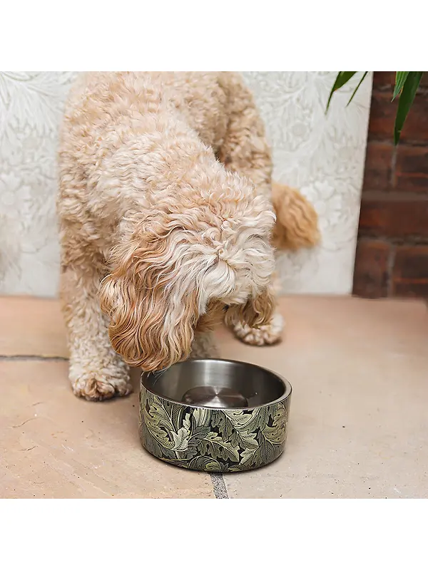 William Morris Double Walled Dog Slow Feeder - Acanthus Print Image 3