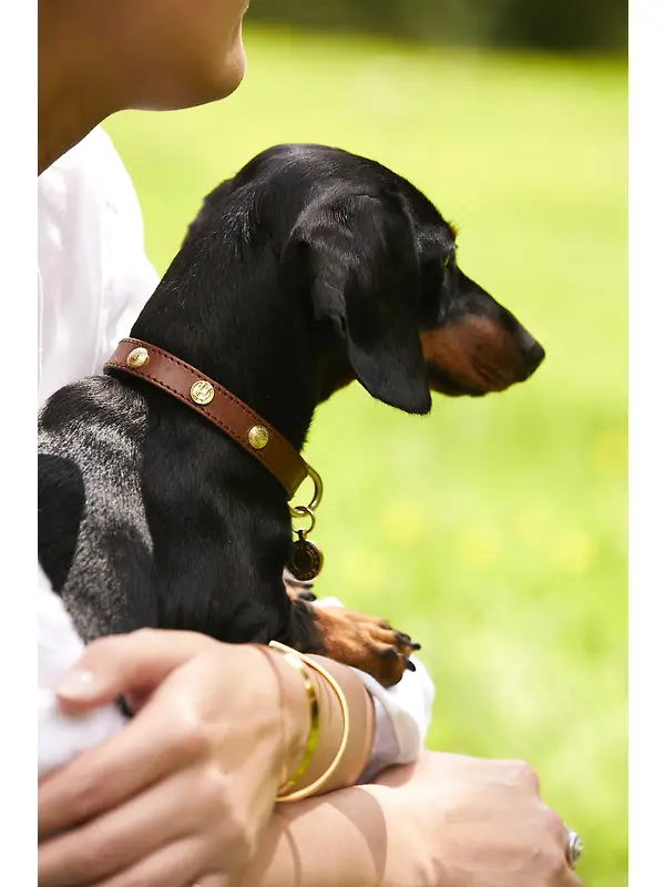Holland Cooper HC Studded Dog Collar - Chestnut Image 2
