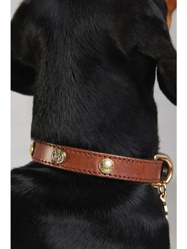 Holland Cooper HC Studded Dog Collar - Chestnut Image 3