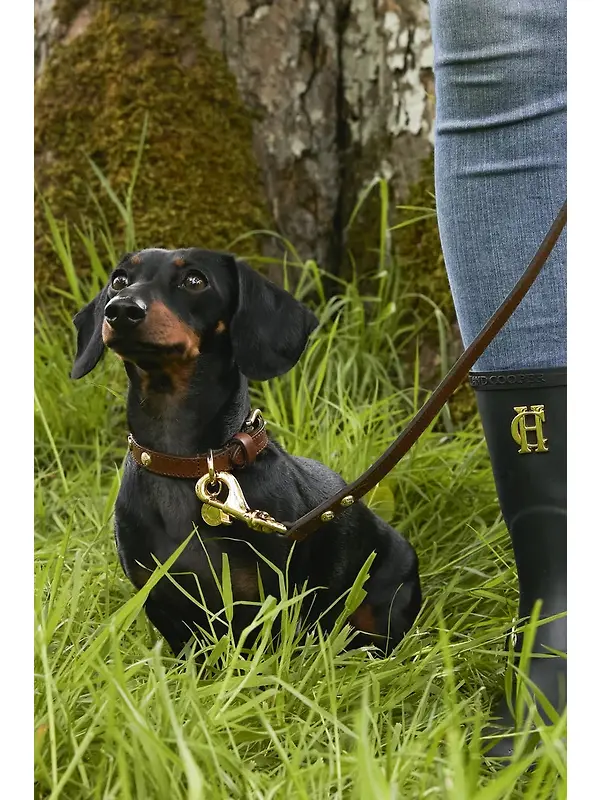 Holland Cooper HC Studded Dog Collar - Chestnut Image 7