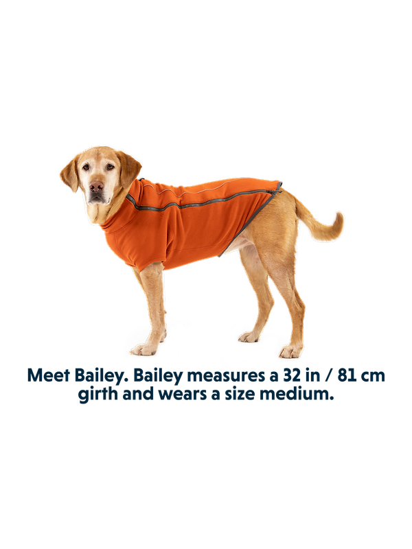 RUFFWEAR Climate Changer Dog Fleece - Blue Jay Image 13