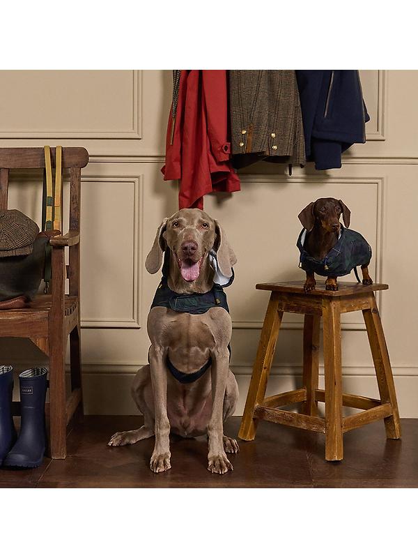 Joules Packaway Dog Jacket - Blackwatch Check Image 8