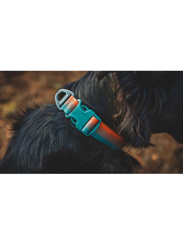 RUFFWEAR Front Range Dog Collar - Basalt Gray Image 5