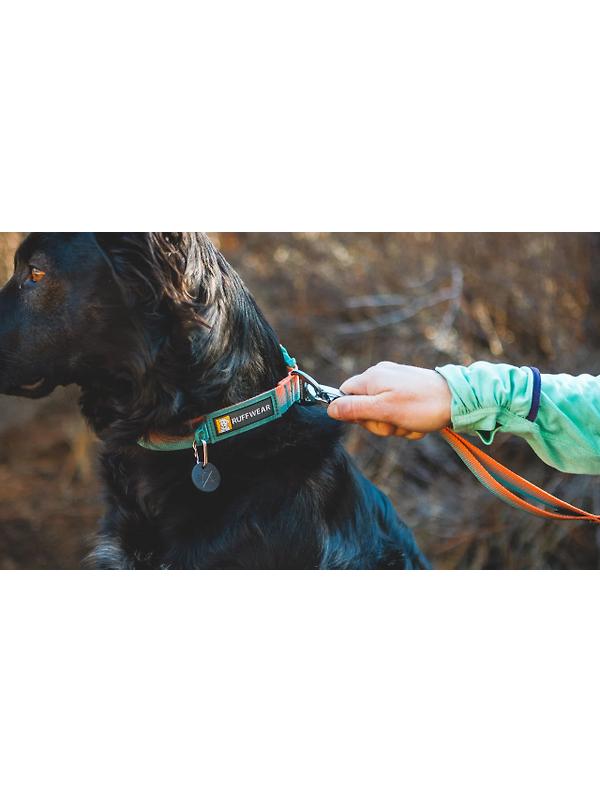 RUFFWEAR Front Range Dog Collar - Basalt Gray Image 6