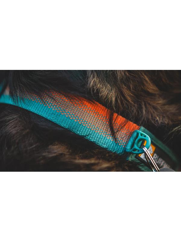 RUFFWEAR Front Range Dog Collar - Basalt Gray Image 7