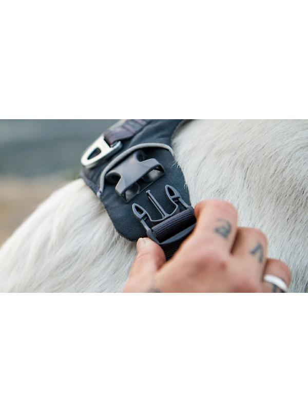 RUFFWEAR Front Range Dog Harness - Basalt Grey Image 12