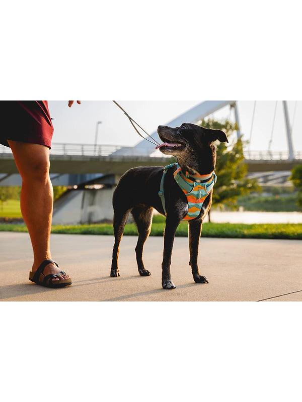 RUFFWEAR Front Range Dog Harness - Basalt Grey Image 13