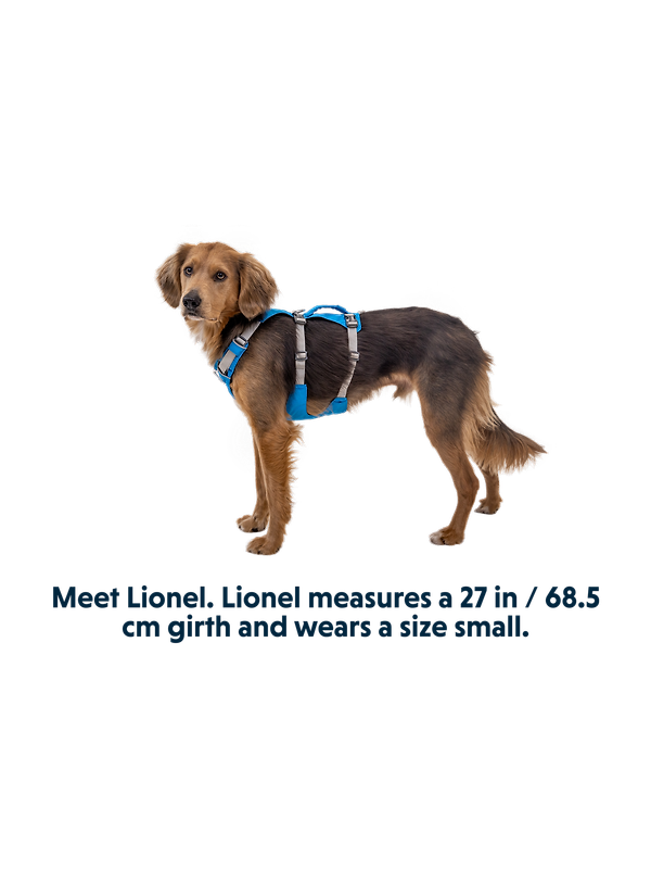 RUFFWEAR Flagline Dog Harness - Basalt Grey Image 15
